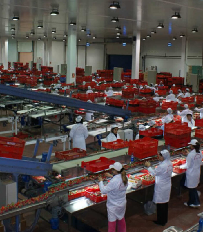 Cooperativa hortofrutícola Cuna de Platero